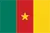 National flag of Cameroon